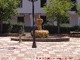 Fuente de la Plaza de Coto R�os
