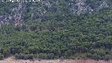 Cerro Matamulos. Paredes de piedra que dan al pantano