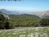 Cerro Matamulos. Vistas hacia Jan