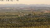 Cortijo de Sancho