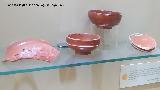 Historia de Carmona. Terra sigillata. Museo del Alc�zar de la Puerta de Sevilla