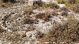 C�rculo del Cerro de la Mina. 