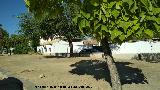 Aldea Agrupacin de Santo Tom. 
