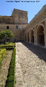 Castillo Palacio de los Ribera. 