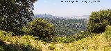 Mirador Tugate de los Cielos