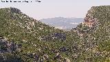 Garganta Verde. Desde el Mirador del Puerto de los Acebuches