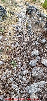 Camino de las �nimas. 