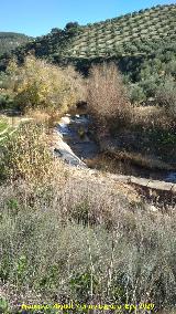 R�o San Juan. Presa del Molino del Moro - Alcaudete