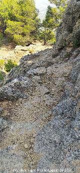 Camino Alto de la Quebrada. 