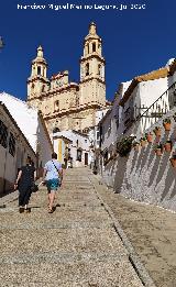 Calle Calzada. 
