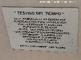 Escultura Testigo del Tiempo. Placa