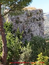 Torre de los Olivillos. 