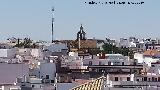 Iglesia de San Francisco. Desde el Alc�zar de la Puerta de Sevilla