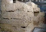 Mausoleo Romano. 