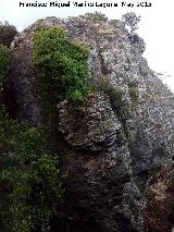 La Camua. Bloque de piedra