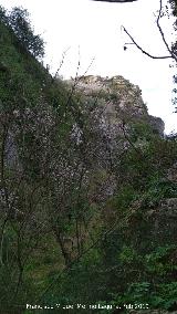 La Nava. Entorno de la Cueva del Jabonero