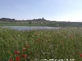 Laguna del Pizorro. 