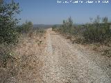 Va Baeza Utiel. A su paso por el trmino de Villacarrillo