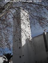 Iglesia de Santa Teresa de Jess. Campanario