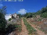 Cerro del Camello. Cortijos