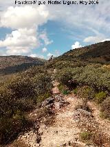 Cerro del Camello. Hacia la Piedra de la Virgen del Camello