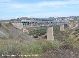 Viaducto del Vboras. 