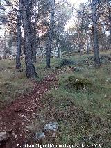 Cerro Cao Quebrado. 