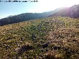 Cerro Cao Quebrado. Vistas hacia La Mella