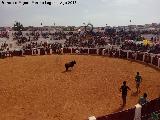 Plaza de Toros. 