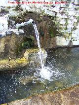 Fuente de Fuencaliente. Cao