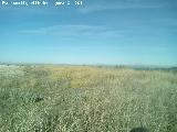 Torren del Cerro de la Atalaya. Meseta