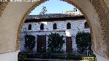 Generalife. Patio de la Acequia. 