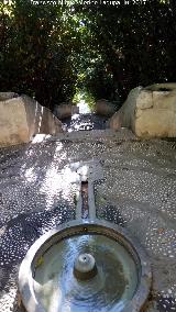 Generalife. Escalera del Agua. 