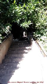 Generalife. Escalera del Agua. 