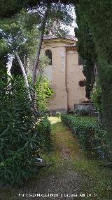 Monasterio de la Cartuja. Jardn lateral