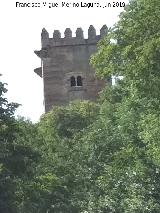 Alhambra. Torre de los Picos. Desde la Cuesta del Rey Chico