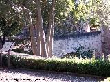 Alhambra. Puente del Generalife. 