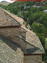 Iglesia de San Pedro y San Pablo. Tejados