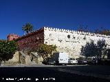 Castillo de Alhama de Granada. 