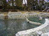 Fuente del Rey. 