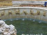 Fuente del Rey. 