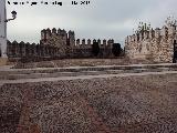 Murallas de Cabra. 
