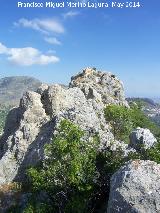 Castillo de las Peas de Castro. 