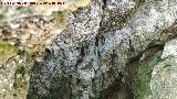 Cascada del Acueducto del Toril. Cueva lateral