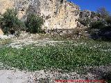 Casas Cueva Altas de los Baos. Huertas