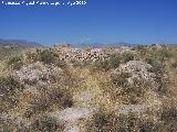 Los Millares. Necrpolis. Dolmen 4 sin excavar