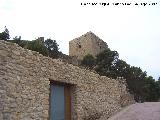 Castillo de Lorca. Aljibe del Espaldn. 