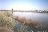 Parque Natural de las Salinas de Santa Pola. 