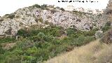 Pinturas rupestres de la Cueva de las Araas del Carabass. Paredes donde se encuentra la cueva