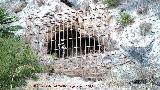 Pinturas rupestres de la Cueva de las Araas del Carabass. Cueva